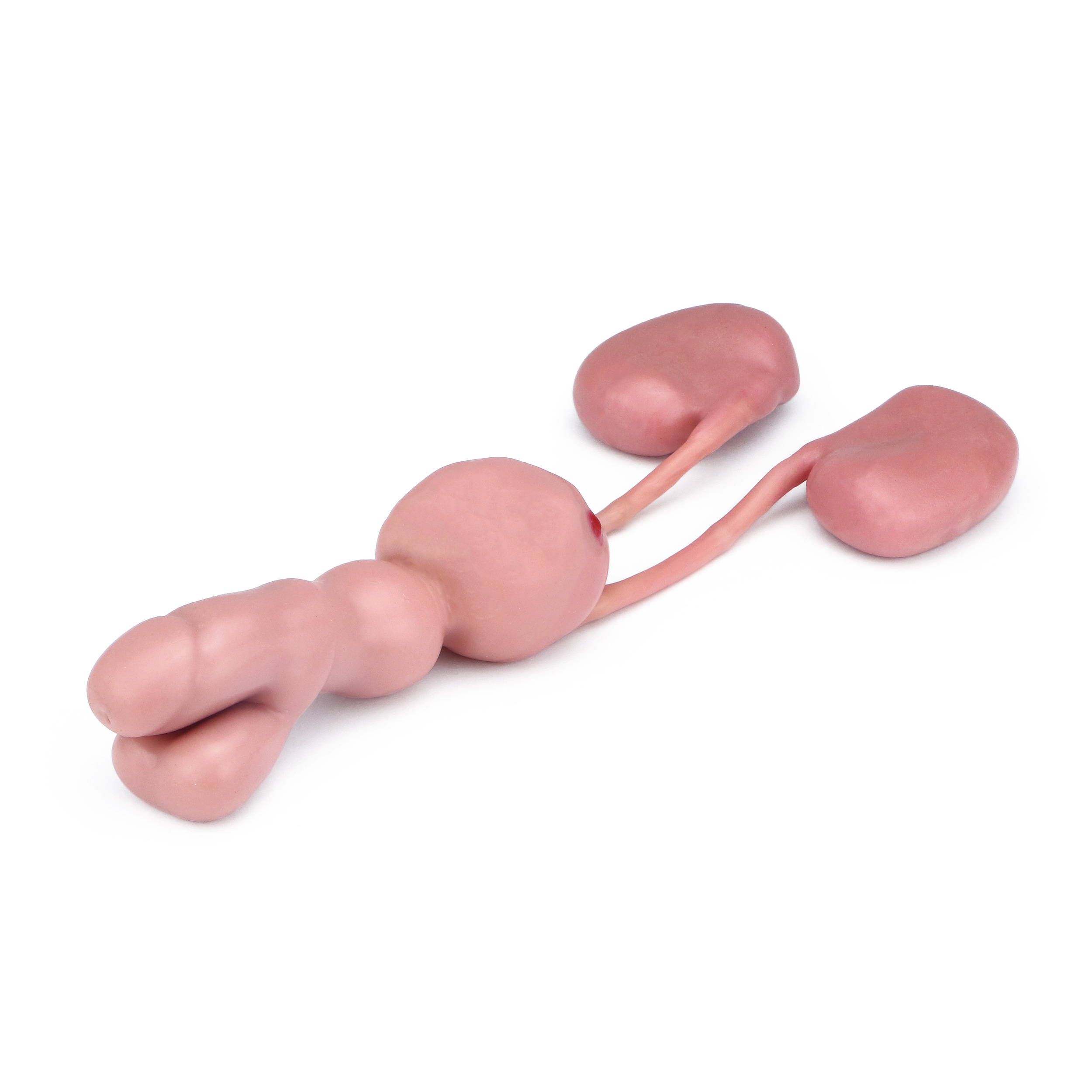 ETXY-5B - Sistema urinário masculino para ser usado com o suporte ETXY-5A 