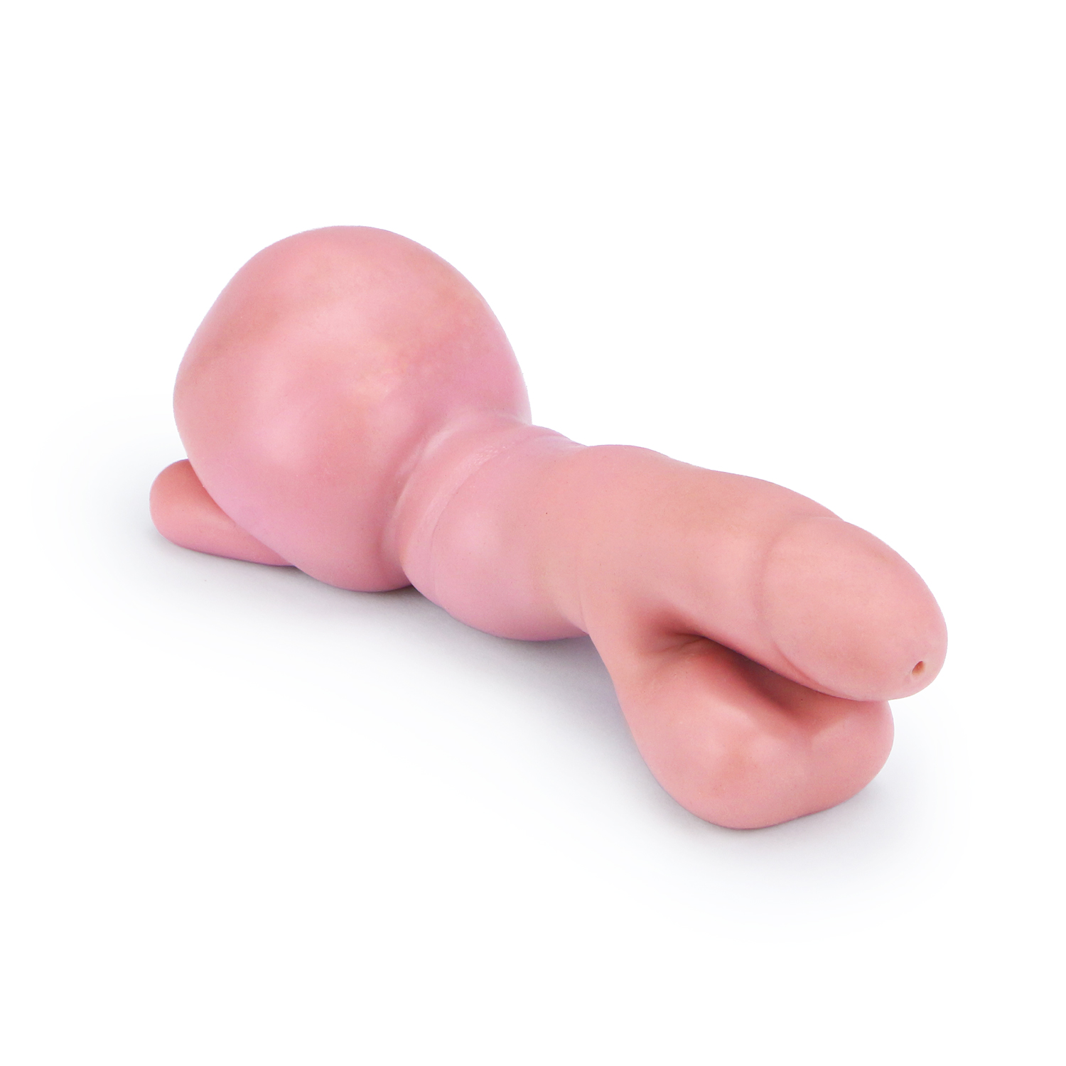 ETXY-7C Sistema urinário com penis e bexiga para enucleação de adenoma prostático